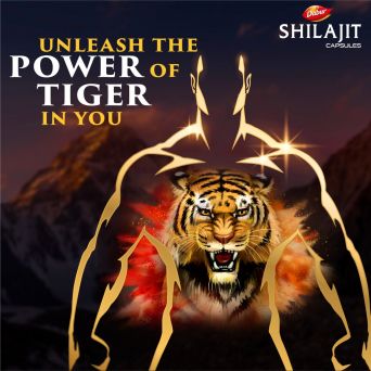 Dabur Shilajit Capsule 30's