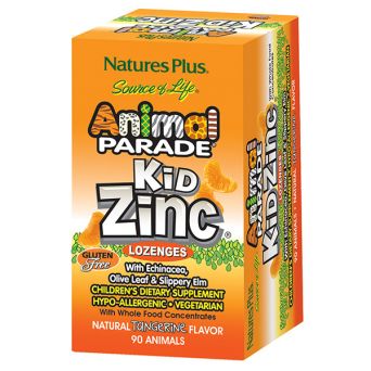 Animal Parade KidZinc Lozenges - Tangerine Flavor 90's