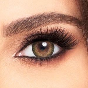 Freshlook Monthly Pure hazel