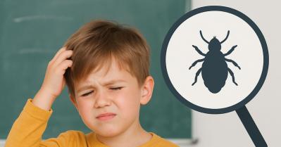 Back-to-School Itch: A Parent’s Guide to Head Lice